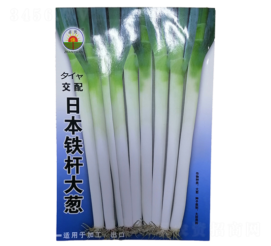 �ձ��F�U���[-���[�N��-�����r�I