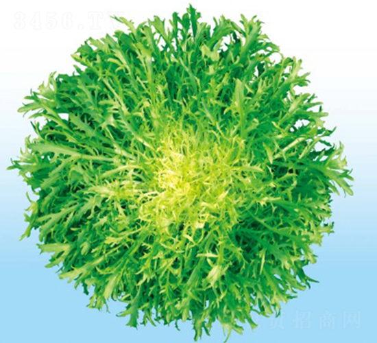 �������\����-��շN��-�A�߷N�I