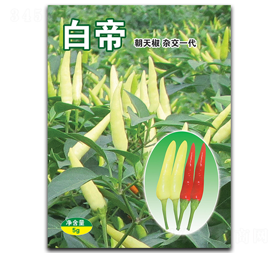 �׵�-���콷�N��-�A�߷N�I