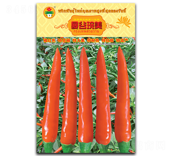 ��������-���콷�N��-�A�߷N�I