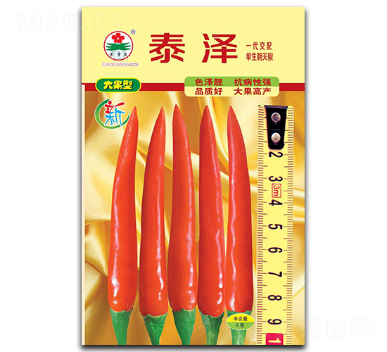 ̩��-���콷�N��-�A�߷N�I