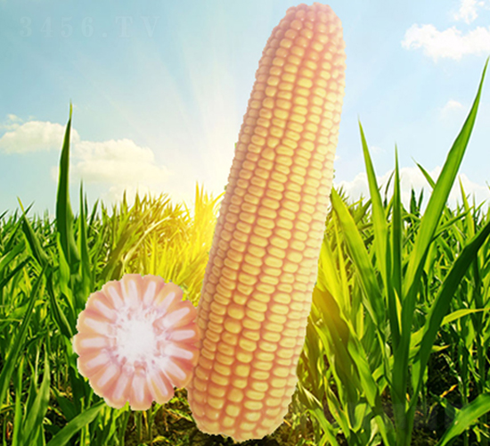 �x��71-���׷N��-��Դ�N�I