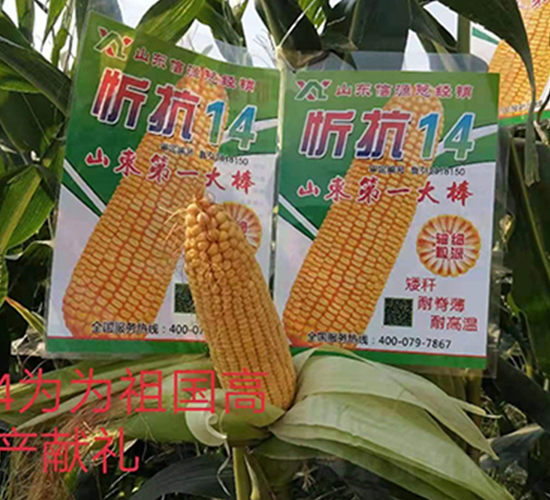 �ÿ�14-���׷N��-��Դ�N�I