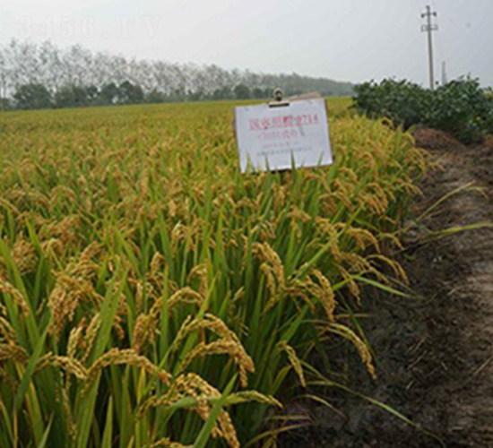 �BŴ9714-Ŵ���N��-�|���r(n��ng)�I(y��)