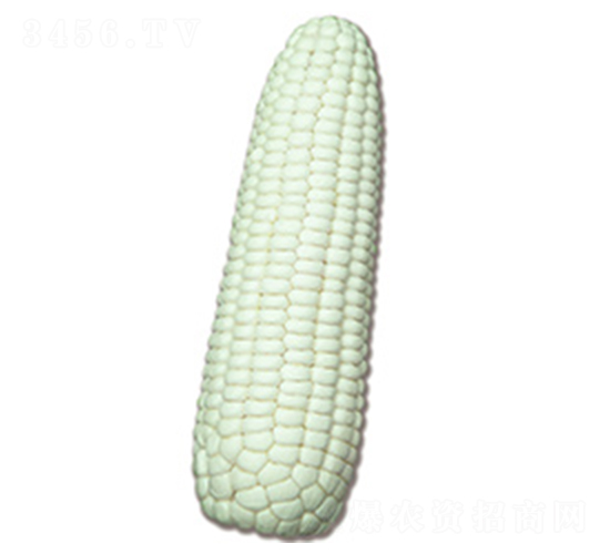 �N�ǰ�Ŵ2̖-Ŵ���׷N��-�N�ǷN�I