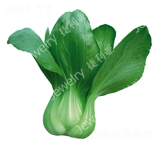 ����G-�๣�˷N��-������