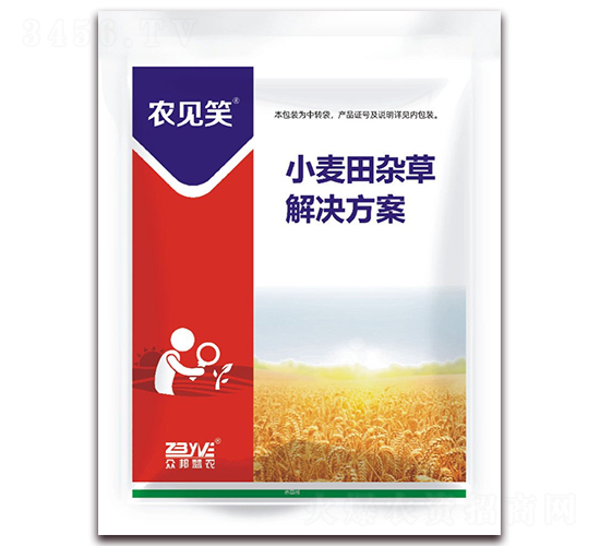 С�����s�ݽ�Q����-�rҊЦ-�������r