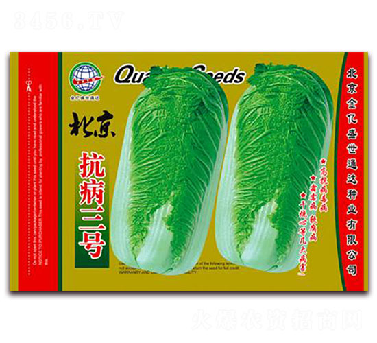 ����������̖-�ײ˷N��-����