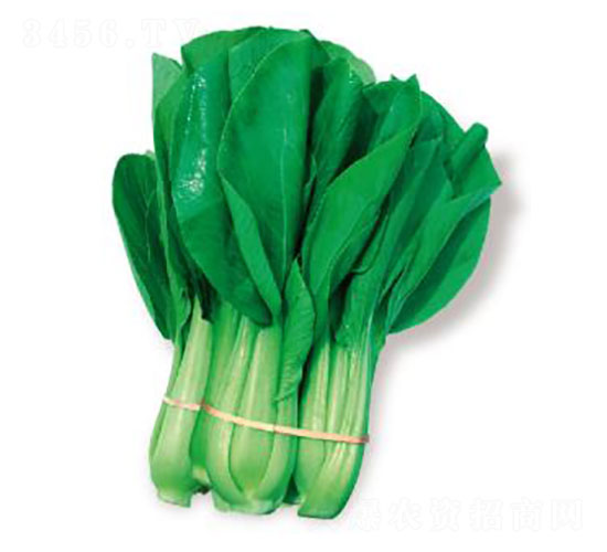 ����-��˷N��-�ȃ�(y��u)�_(d��)