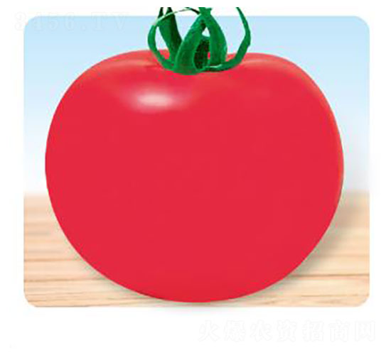 �䌚-���ѷN��-�ȃ��_