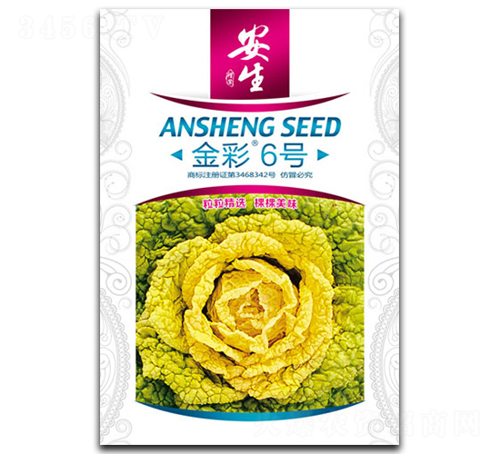 ���6̖-��˷N��-����