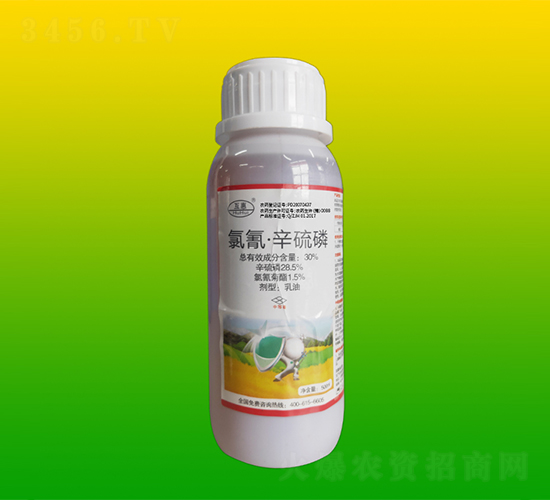 30%���衤����������-����