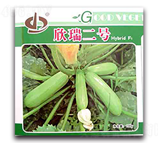 �����̖-�����J�N��-����N��