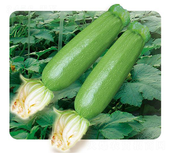 ����-�����J�N��-�Є����S