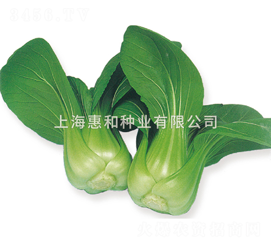 ����-��˷N��-�ݺͷN�I