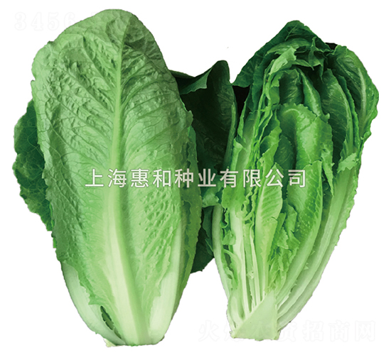 �G��-���˷N��-�ݺͷN�I(y��)