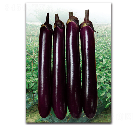 �ϼt�L��-���ӷN��-�������r(n��ng)�I(y��)