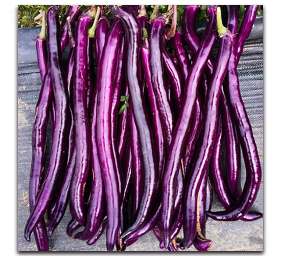 �\��-���ӷN��-�������r�I