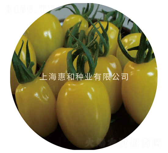 �S����-С���ѷN��-�ݺͷN�I