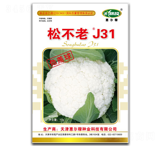 �ɲ���J31-�ɻ��˷N��-�ݠ���