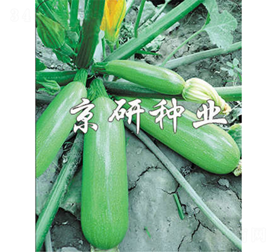 ����6̖(h��o)-�����J�N��-����