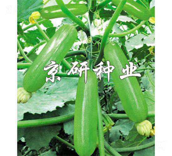 ���336-�����J�N��-����