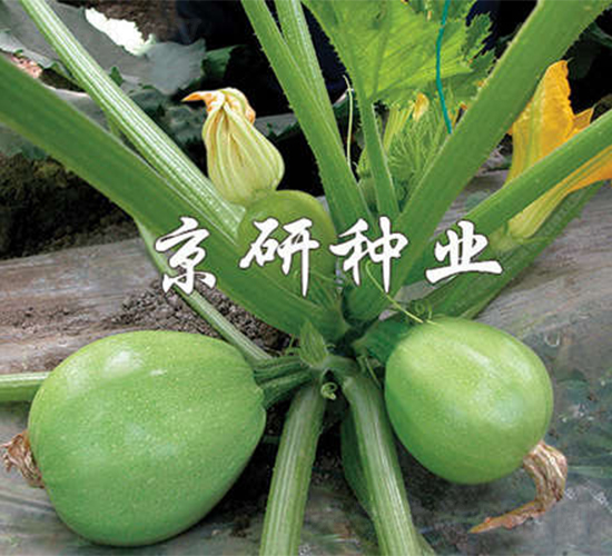 ����-�����J�N��-����