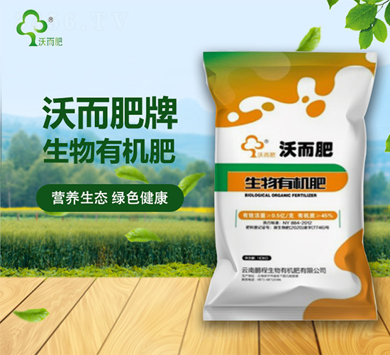 �����ЙC��-�ֶ���-�i������