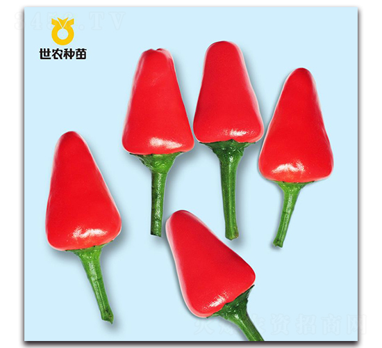米口辣-辣椒種子-世農種苗