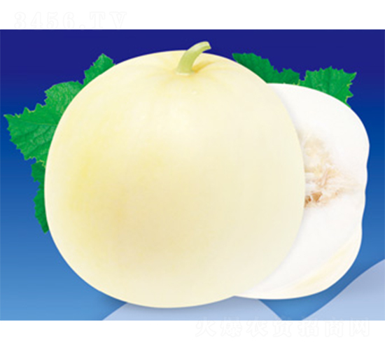 �����ŵ�-��ϷN��-����N�I