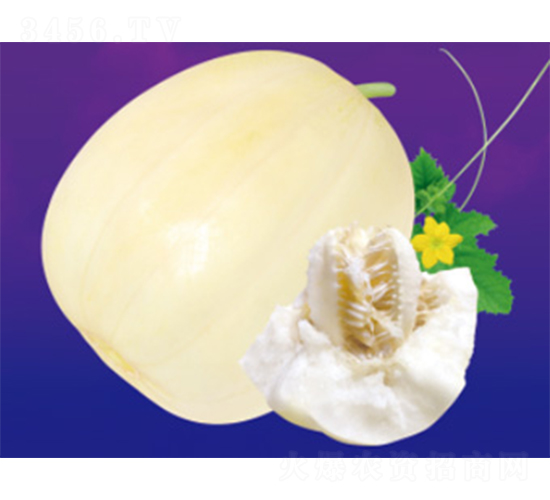 ����һ-��ϷN��-����N�I