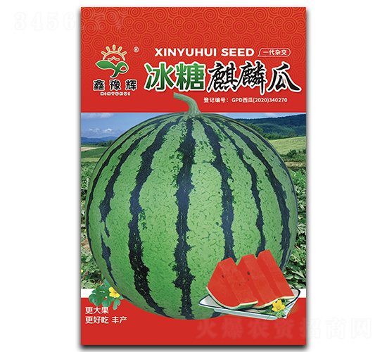 ���������-���ϷN��-ԥ�x�N�I