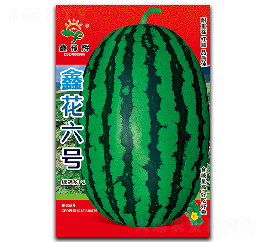 鑫花六號-西瓜種子-豫輝種業