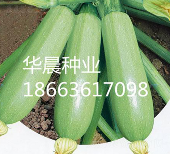 �Gѩ-�����J�N��-�A���N�I(y��)