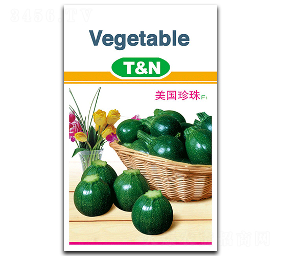 美國珍珠-西葫蘆種子-德豐種業