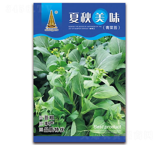 ������ζ-���̦�N��-�н��r�I