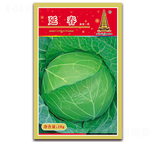 �Ӵ�-���{�N��-�н��r�I