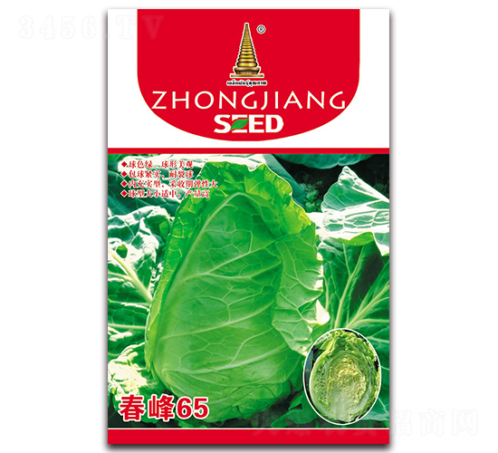 ����65-���{�N��-�н��r�I