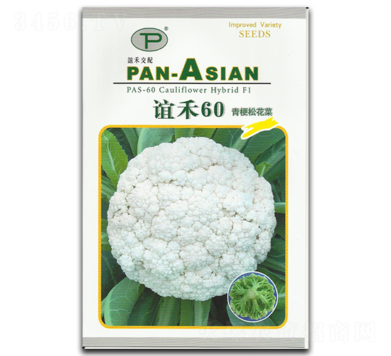 誼禾60-松花菜種子-誼禾