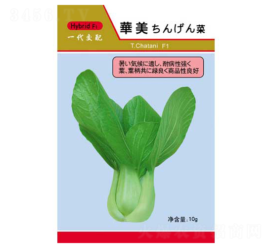 �A��-��˷N��-�P���r�I