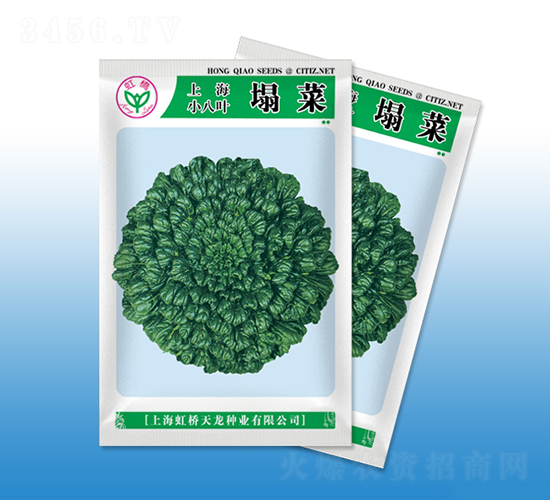 �Ϻ�С���~����-���˷N��-�����N�I