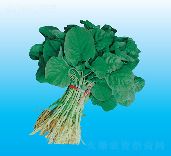 �_�����{��-�{�˷N��-�����N�I