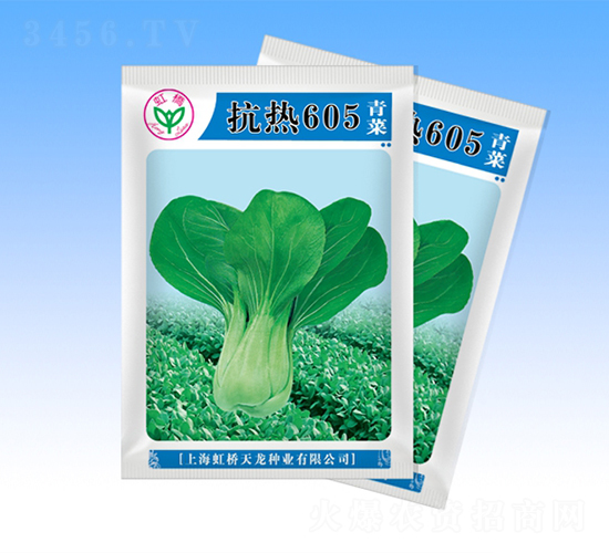 ����605-�๣�˷N��-�����N�I