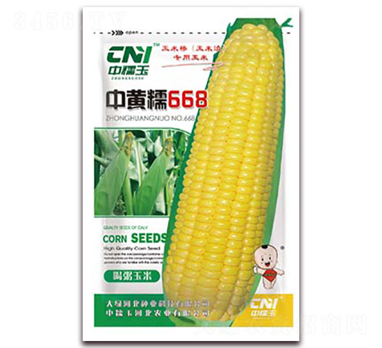 ���SŴ668-Ŵ���׷N��-�δ�G