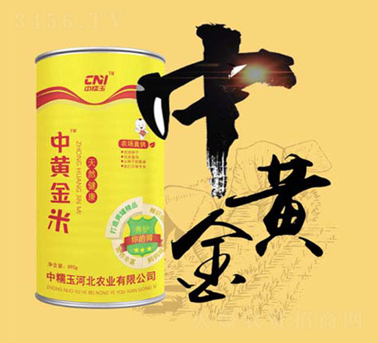 ���S��С��-Ŵ���׷N��-�δ�G