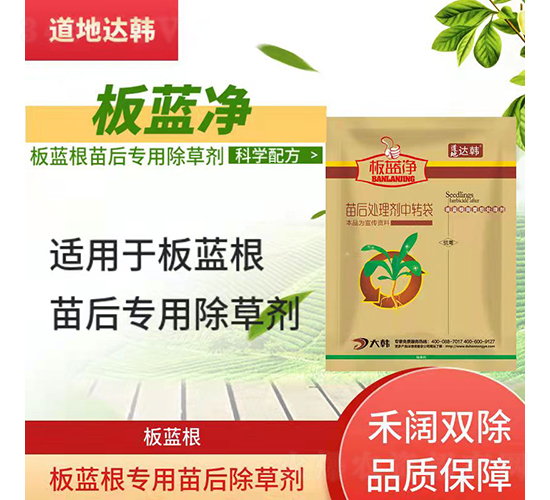 ���{�����������݄�-���{��-�����_�n