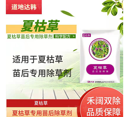 �Ŀݲ݌��������݄�-�����_�n