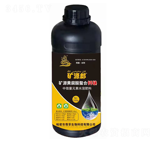 �VԴ�S���������}�V-�VԴ��-��������