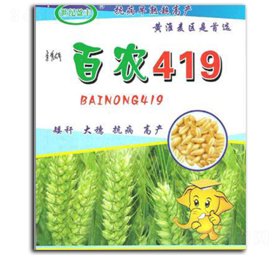 ���r419-С���N��-���S�N�I