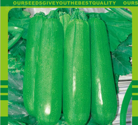 �W¹��̖-�S�ϷN��-�����r�I